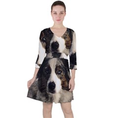 Dog Pet Art Abstract Vintage Ruffle Dress