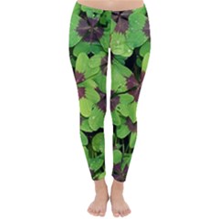 Luck Klee Lucky Clover Vierblattrig Classic Winter Leggings by Celenk