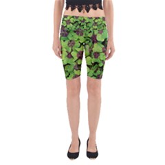 Luck Klee Lucky Clover Vierblattrig Yoga Cropped Leggings