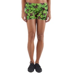 Luck Klee Lucky Clover Vierblattrig Yoga Shorts