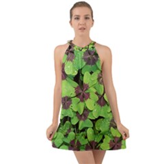 Luck Klee Lucky Clover Vierblattrig Halter Tie Back Chiffon Dress