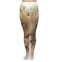 Lion Cub Close Cute Eyes Lookout Women s Tights