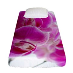 Orchid Phaleonopsis Art Plant Fitted Sheet (single Size) by Celenk