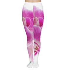 Orchid Phaleonopsis Art Plant Women s Tights