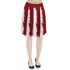 Canada Skirts Pleated Skirt