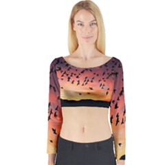 Sunset Dusk Silhouette Sky Birds Long Sleeve Crop Top by Celenk