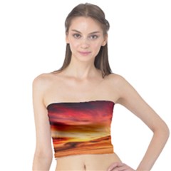 Desert Sand Dune Landscape Nature Tube Top