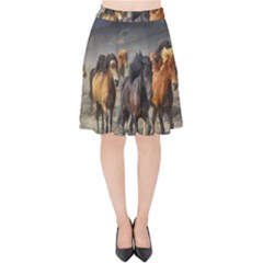 Horses Stampede Nature Running Velvet High Waist Skirt by Celenk