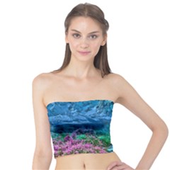 Pathway Nature Landscape Outdoor Tube Top