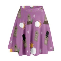 Groundhog Day Pattern High Waist Skirt