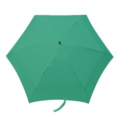 Seafoamy Green Mini Folding Umbrellas by snowwhitegirl