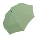 Tree Green Folding Umbrellas View2