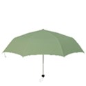 Tree Green Folding Umbrellas View3