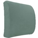 Mossy Green Back Support Cushion View2