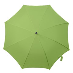 Minty Hook Handle Umbrellas (medium) by snowwhitegirl