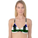 Flag of Cascadia Reversible Tri Bikini Top View3