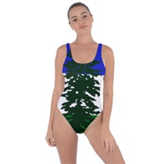 Flag Of Cascadia Bring Sexy Back Swimsuit by abbeyz71