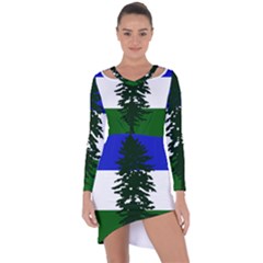 Flag Of Cascadia Asymmetric Cut-out Shift Dress by abbeyz71