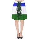 Flag of Cascadia Velvet High Waist Skirt View1