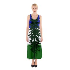 Flag Of Cascadia Sleeveless Maxi Dress by abbeyz71