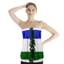 Flag of Cascadia Strapless Top View1