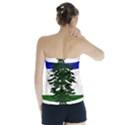 Flag of Cascadia Strapless Top View2