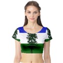 Flag of Cascadia Short Sleeve Crop Top View1