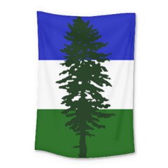 Flag Of Cascadia Small Tapestry by abbeyz71