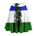 Flag of Cascadia High Waist Skirt View1