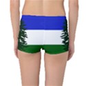 Flag of Cascadia Reversible Boyleg Bikini Bottoms View2