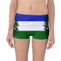 Flag of Cascadia Reversible Boyleg Bikini Bottoms View3