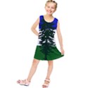 Flag of Cascadia Kids  Tunic Dress View1