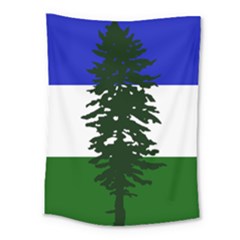 Flag Of Cascadia Medium Tapestry by abbeyz71