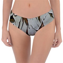 Dry Nature Pattern Background Reversible Classic Bikini Bottoms by Nexatart