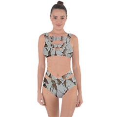 Dry Nature Pattern Background Bandaged Up Bikini Set  by Nexatart