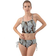 Dry Nature Pattern Background Mini Tank Bikini Set by Nexatart