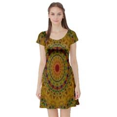 India Mystic Background Ornamental Short Sleeve Skater Dress by Nexatart