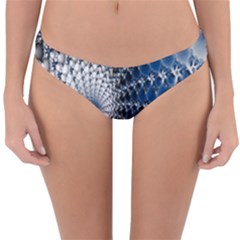 Mandelbrot Fractal Abstract Ice Reversible Hipster Bikini Bottoms by Nexatart