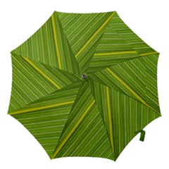 Leaf Plant Nature Pattern Hook Handle Umbrellas (large) by Nexatart