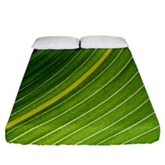 Leaf Plant Nature Pattern Fitted Sheet (california King Size) by Nexatart