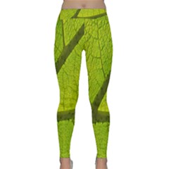 Green Leaf Plant Nature Structure Classic Yoga Leggings