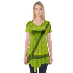 Green Leaf Plant Nature Structure Short Sleeve Tunic  by Nexatart