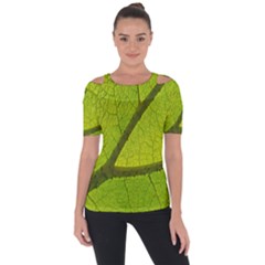 Green Leaf Plant Nature Structure Short Sleeve Top by Nexatart