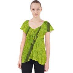 Green Leaf Plant Nature Structure Lace Front Dolly Top by Nexatart