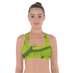 Green Leaf Plant Nature Structure Cross Back Sports Bra