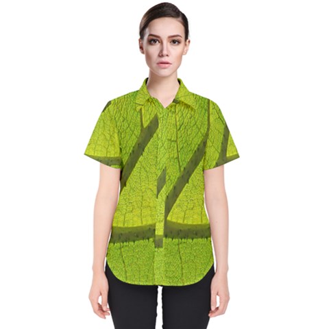 Green Leaf Plant Nature Structure Women s Short Sleeve Shirt by Nexatart