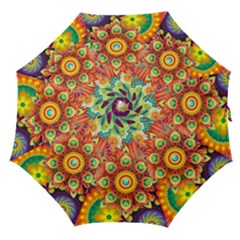 Colorful Abstract Background Colorful Straight Umbrellas by Nexatart