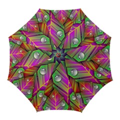 Abstract Background Colorful Leaves Golf Umbrellas by Nexatart
