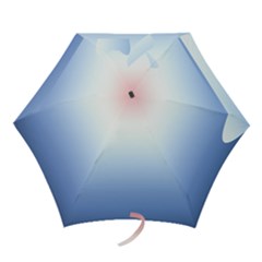 Red And Blue Mini Folding Umbrellas