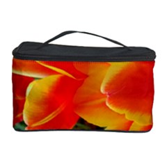 20180115 144714 Hdr Cosmetic Storage Case